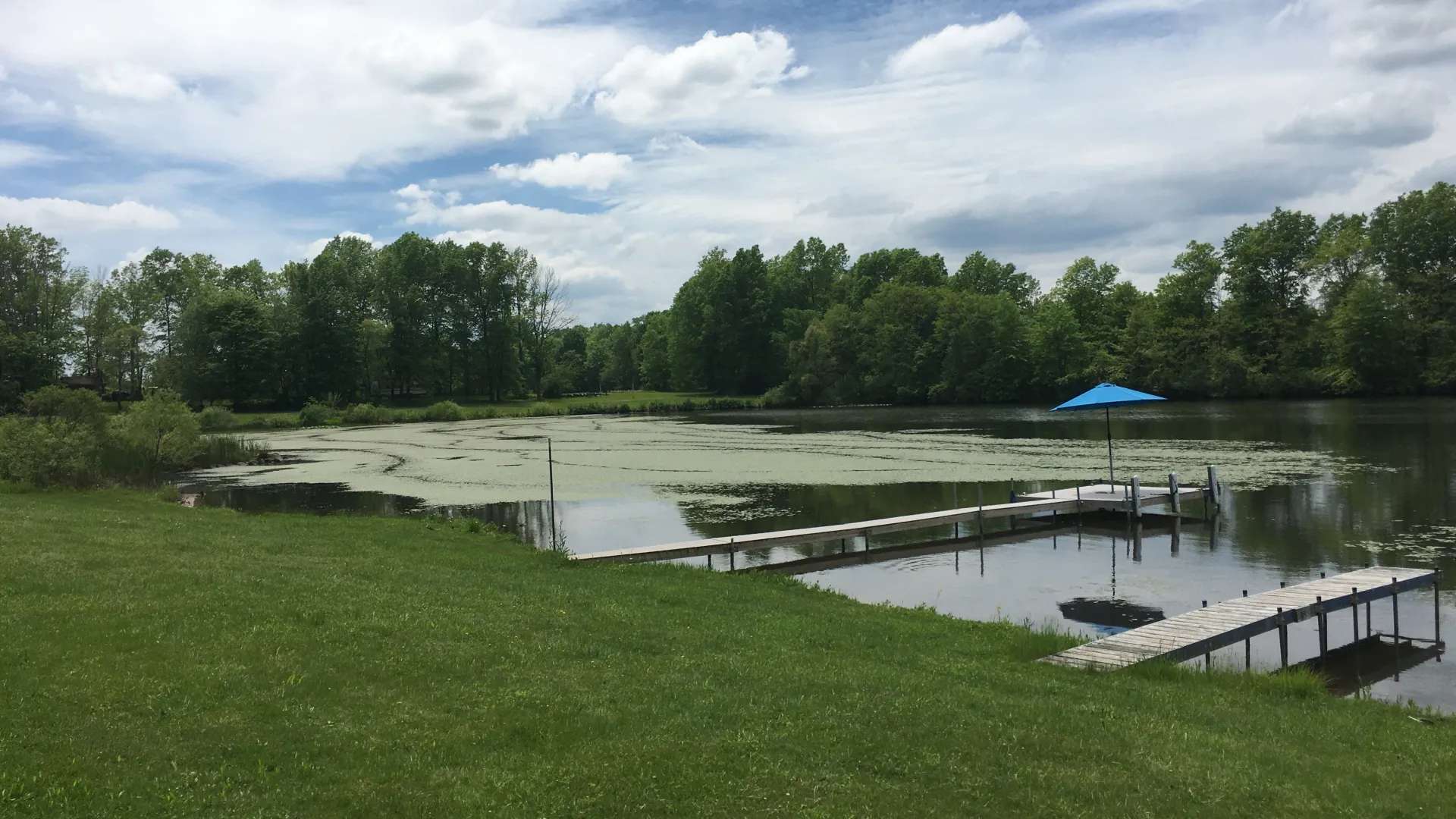 Before ProcellaCOR treatment photo | Jones Lake Management