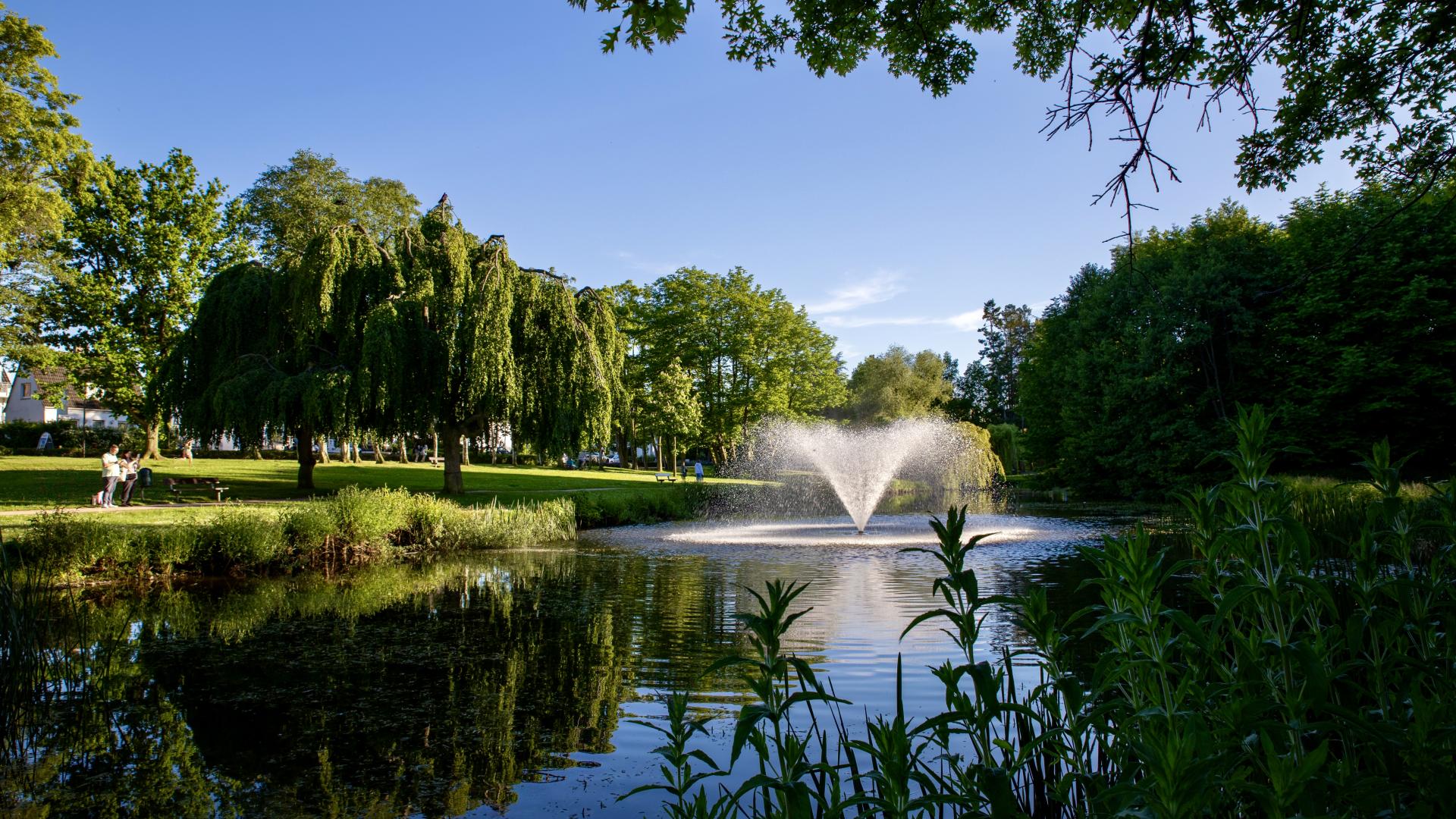 HOA community pond management