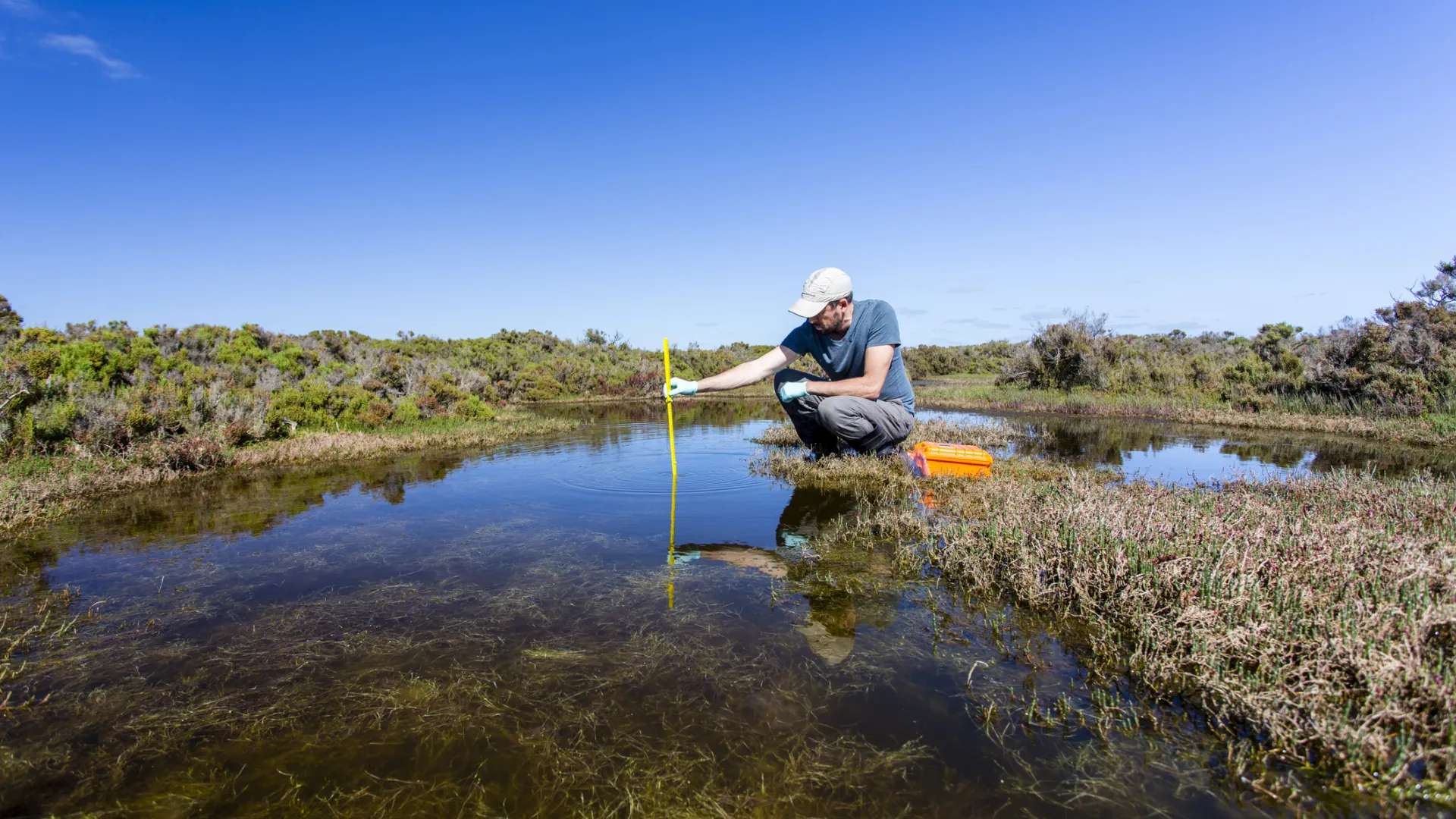 Annual or seasonal depth and sediment surveys for ponds and lakes