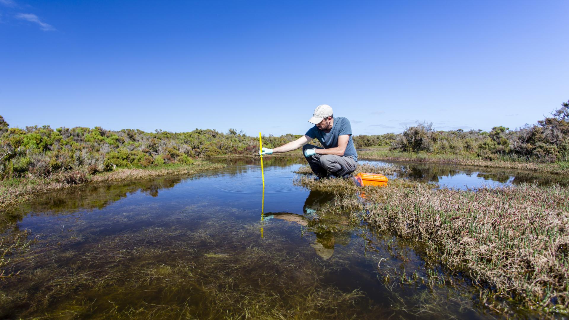 Annual or seasonal depth and sediment surveys, paired with water quality testing and aeration system upkeep, allow us to track conditions and adjust strategies over time