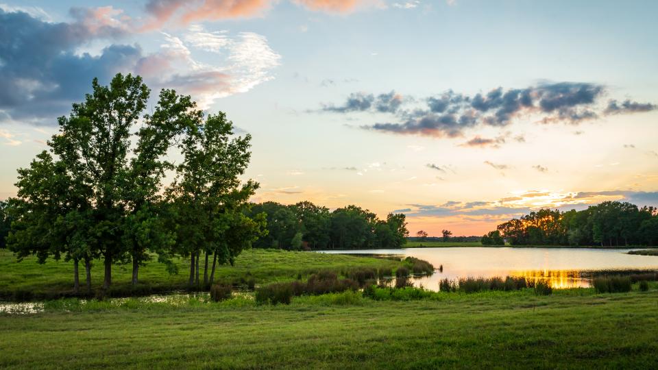 pond in texas with sunset
