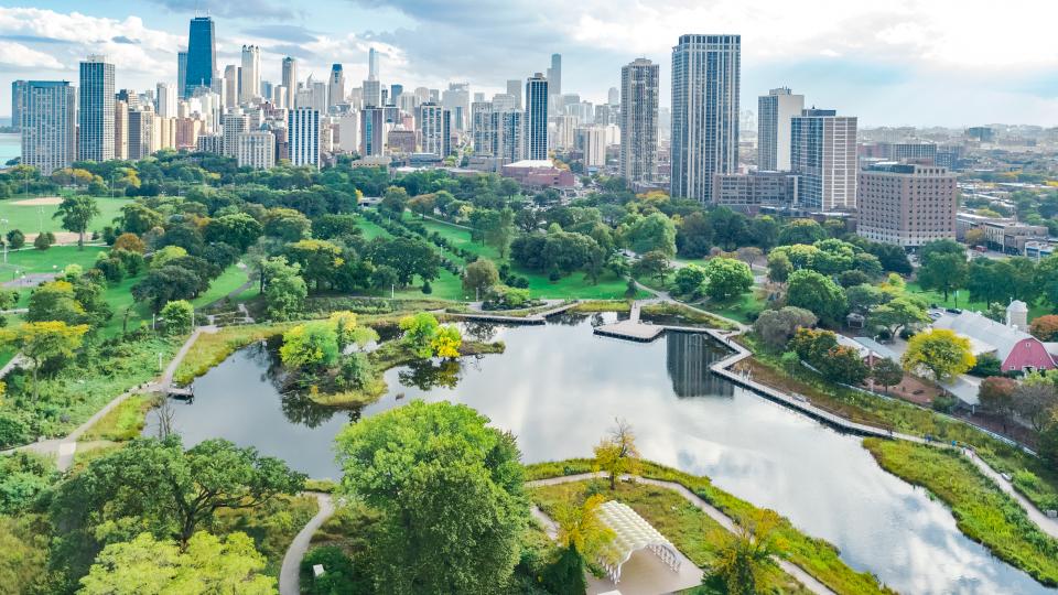 jones lake management | greater chicago location