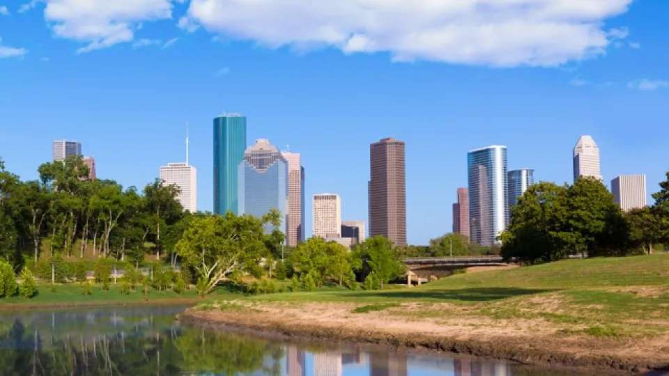clear water weed removal | houston texas 