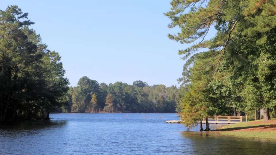 South Carolina - Platinum Ponds