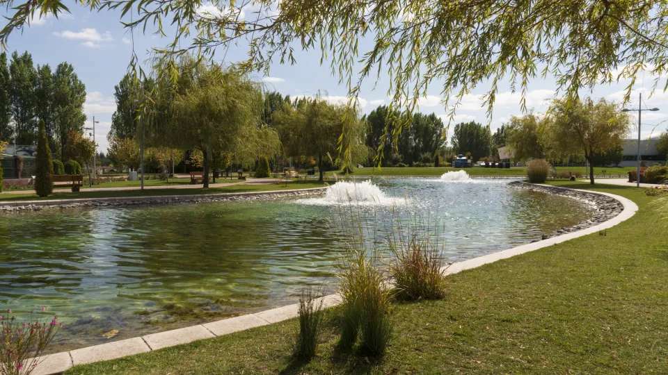 pond with aerator