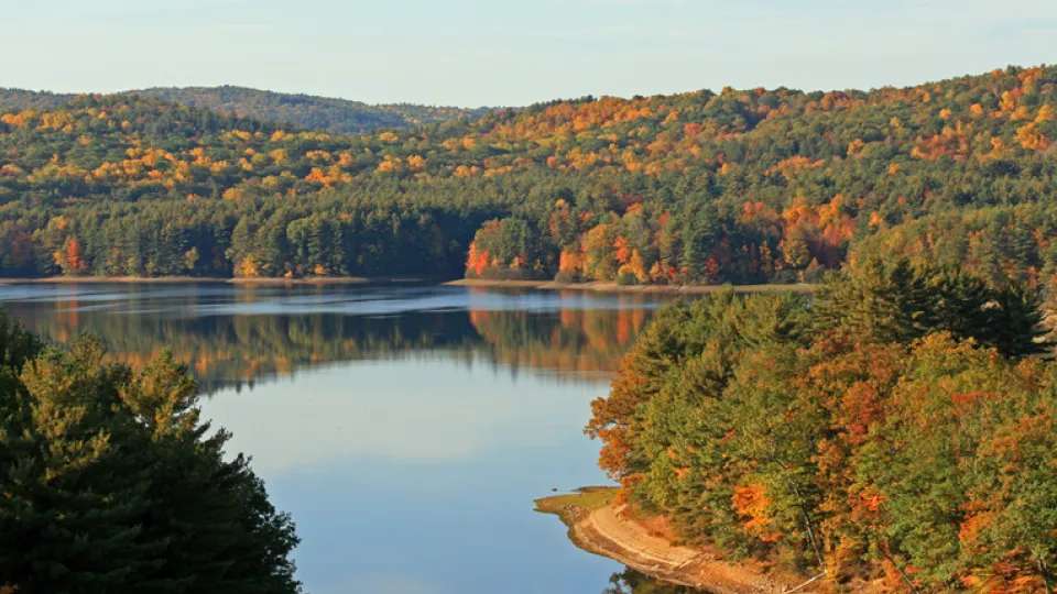 connecticut pond - W&W