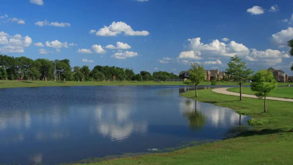Pond in Texas