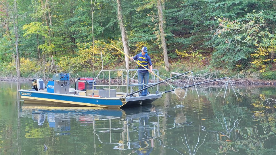 Fish Nets  Jones Lake Management