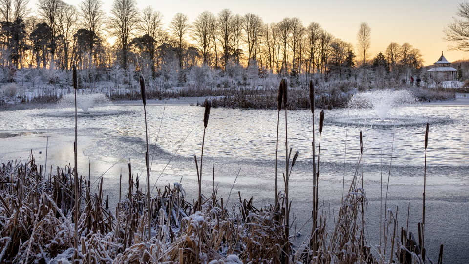 Lake and Pond Fountain Winterization | Jones Lake Management