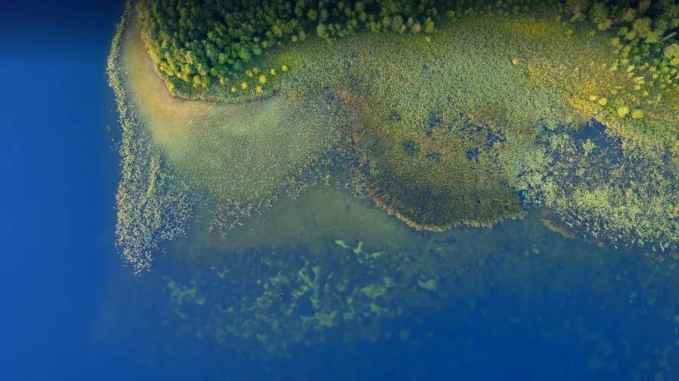 Lake Mapping Service | Jones Lake Management