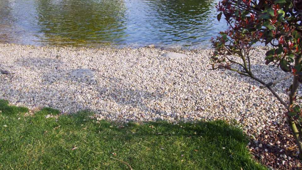 Rip Rap and Shoreline Weed Control | Jones Lake Management