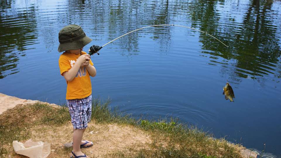child fishing pond for bluegill